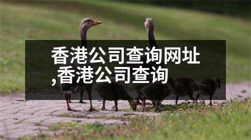 香港公司查詢網(wǎng)址,香港公司查詢