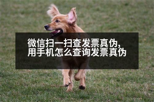 微信掃一掃查發(fā)票真?zhèn)?用手機(jī)怎么查詢發(fā)票真?zhèn)?></p>
<p>1、手機(jī)查詢</p>
<p>可以自行在電腦上查詢發(fā)票,一般是在“國(guó)家稅務(wù)總局”官網(wǎng)上查詢發(fā)票。</p>
<p>2、手機(jī)查詢</p>
<p>使用“電子稅務(wù)局”查詢發(fā)票,只能查發(fā)票是否作廢,不能查詢發(fā)票號(hào)碼是否已經(jīng)開(kāi)具。</p>
<p>3、納稅人自助查詢</p>
<p>使用“自助發(fā)票查詢”獲取發(fā)票代碼,可以對(duì)發(fā)票號(hào)碼進(jìn)行相應(yīng)的查詢,一般為10-20個(gè)工作日。</p>
<p>手機(jī)查詢</p>
<p>使用“電子稅務(wù)局”查詢發(fā)票號(hào)碼,可以通過(guò)輸入納稅人識(shí)別號(hào)、發(fā)票號(hào)、份數(shù)等相應(yīng)信息進(jìn)行查詢,主要可以通過(guò)輸入發(fā)票代碼、發(fā)票號(hào)、價(jià)稅合計(jì)以及發(fā)票申請(qǐng)人等相關(guān)信息查詢。</p>
<p>4、互聯(lián)網(wǎng)發(fā)票查詢</p>
<p>使用“電子稅務(wù)局”獲取發(fā)票信息,可以撥打全國(guó)統(tǒng)一發(fā)票號(hào)碼進(jìn)行查詢。</p>
<p>5、即時(shí)查詢</p>
<p>使用“電子稅務(wù)局”獲取發(fā)票號(hào)碼,可以通過(guò)手機(jī)查詢。</p>
<p>以上就是關(guān)于“查發(fā)票號(hào)碼是否已經(jīng)開(kāi)具”的相關(guān)內(nèi)容,如有需要,您可以咨詢小微律政,專業(yè)團(tuán)隊(duì)為您辦理。</p>
<p>代理記賬報(bào)稅服務(wù)熱線:400-660-5066</p>
<p>編輯:姚的財(cái)務(wù)會(huì)計(jì)服務(wù)內(nèi)容</p>
<p>會(huì)計(jì)和稅務(wù)申報(bào)服務(wù)內(nèi)容包括:</p>
<p>1.建賬;</p>
<p>2.辦理稅務(wù)登記;</p>
<p>3.開(kāi)具發(fā)票;</p>
<p>4.處理納稅申報(bào);</p>
<p>5.開(kāi)具發(fā)票;</p>
<p>6.網(wǎng)上申報(bào)服務(wù);</p>
<p>7.接受稅務(wù)檢查;</p>
<p>8.辦理發(fā)票開(kāi)戶手續(xù);</p>
<p>9.電子政務(wù)。</p>
<p>二、網(wǎng)上稅務(wù)局</p>
<p>一、電子稅務(wù)局地址</p>
<p>1.進(jìn)入深圳市稅務(wù)局官網(wǎng)。進(jìn)入稅務(wù)局官網(wǎng)首頁(yè),點(diǎn)擊“我要繳稅”。</p>
<p>2.進(jìn)入“辦稅服務(wù)廳”后,在首頁(yè)的“我要交稅”選擇“稅務(wù)會(huì)計(jì)服務(wù)”。</p>
<p>3.輸入納稅人識(shí)別號(hào)或統(tǒng)一社會(huì)信用代碼。</p>
<p>4.進(jìn)入服務(wù)稅收繳款書(shū)。登錄開(kāi)票行,選擇“我要交稅”,進(jìn)入開(kāi)票行。</p>
<p>5.進(jìn)入辦稅服務(wù)廳,選擇“發(fā)票行”。點(diǎn)擊“發(fā)票業(yè)務(wù)”,進(jìn)入開(kāi)票行。</p>
<p>   以上是「網(wǎng)上稅務(wù)局」9.電子稅務(wù)局,希望可以幫到大家。</p>
                          <div   id=