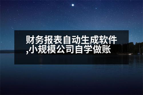 財(cái)務(wù)報(bào)表自動生成軟件,小規(guī)模公司自學(xué)做賬