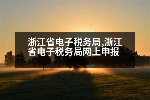 浙江省電子稅務(wù)局,浙江省電子稅務(wù)局網(wǎng)上申報(bào)