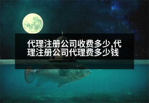 代理注冊公司收費多少,代理注冊公司代理費多少錢