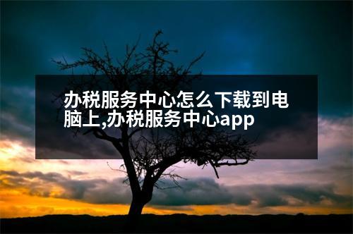 辦稅服務(wù)中心怎么下載到電腦上,辦稅服務(wù)中心app