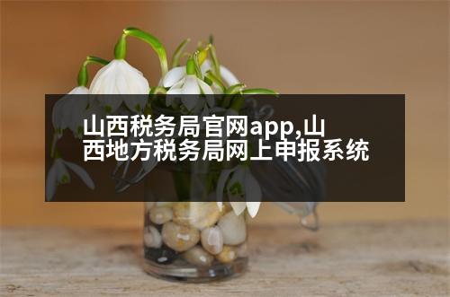 山西稅務(wù)局官網(wǎng)app,山西地方稅務(wù)局網(wǎng)上申報(bào)系統(tǒng)