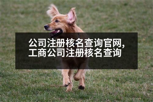 公司注冊(cè)核名查詢官網(wǎng),工商公司注冊(cè)核名查詢