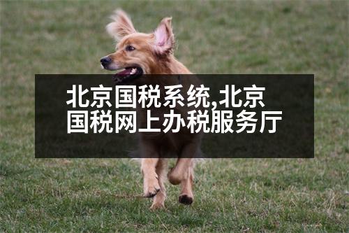 北京國稅系統(tǒng),北京國稅網(wǎng)上辦稅服務(wù)廳