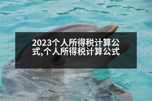 2023個(gè)人所得稅計(jì)算公式,個(gè)人所得稅計(jì)算公式