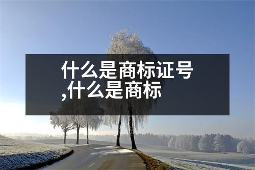 什么是商標證號,什么是商標