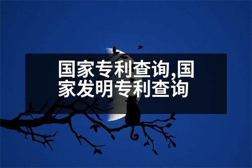 國家專利查詢,國家發(fā)明專利查詢