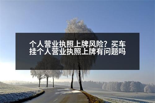 個(gè)人營(yíng)業(yè)執(zhí)照上牌風(fēng)險(xiǎn)？買車掛個(gè)人營(yíng)業(yè)執(zhí)照上牌有問(wèn)題嗎