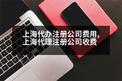 上海代辦注冊(cè)公司費(fèi)用,上海代理注冊(cè)公司收費(fèi)