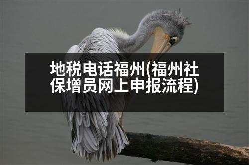 地稅電話福州(福州社保增員網(wǎng)上申報流程)