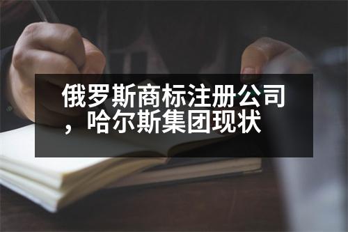 俄羅斯商標(biāo)注冊(cè)公司，哈爾斯集團(tuán)現(xiàn)狀