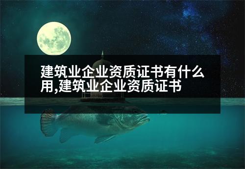 建筑業(yè)企業(yè)資質(zhì)證書有什么用,建筑業(yè)企業(yè)資質(zhì)證書