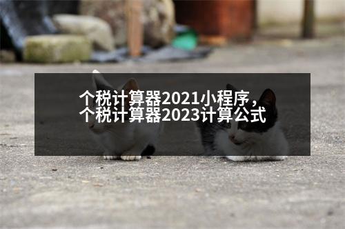 個稅計算器2021小程序，個稅計算器2023計算公式