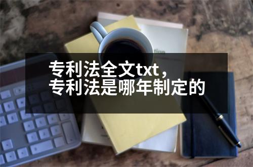 專利法全文txt，專利法是哪年制定的