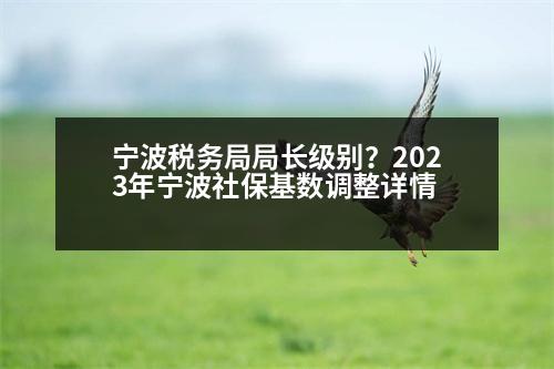 寧波稅務局局長級別？2023年寧波社保基數(shù)調(diào)整詳情