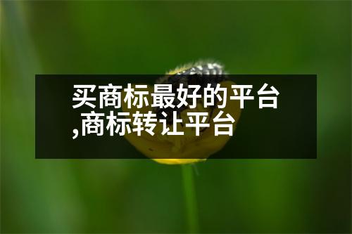 買(mǎi)商標(biāo)最好的平臺(tái),商標(biāo)轉(zhuǎn)讓平臺(tái)