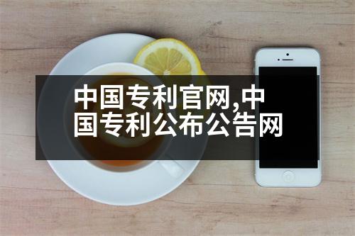 中國專利官網(wǎng),中國專利公布公告網(wǎng)