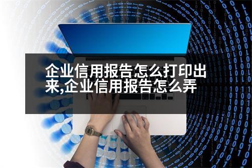 企業(yè)信用報告怎么打印出來,企業(yè)信用報告怎么弄