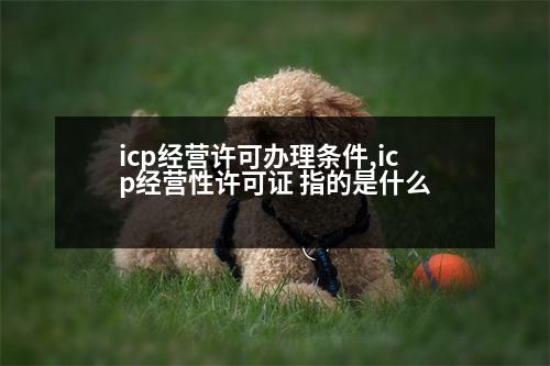 icp經(jīng)營(yíng)許可辦理?xiàng)l件,icp經(jīng)營(yíng)性許可證 指的是什么