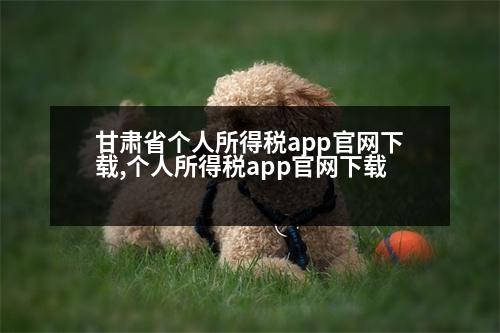 甘肅省個(gè)人所得稅app官網(wǎng)下載,個(gè)人所得稅app官網(wǎng)下載