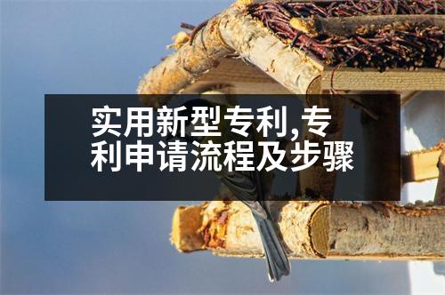 實(shí)用新型專利,專利申請(qǐng)流程及步驟