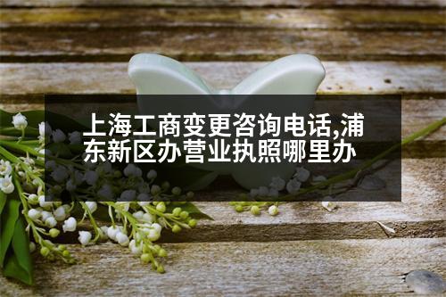 上海工商變更咨詢電話,浦東新區(qū)辦營(yíng)業(yè)執(zhí)照哪里辦