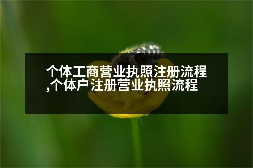 個體工商營業(yè)執(zhí)照注冊流程,個體戶注冊營業(yè)執(zhí)照流程