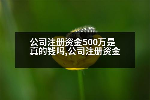 公司注冊(cè)資金500萬(wàn)是真的錢嗎,公司注冊(cè)資金