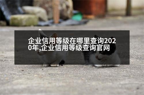 企業(yè)信用等級在哪里查詢2020年,企業(yè)信用等級查詢官網(wǎng)