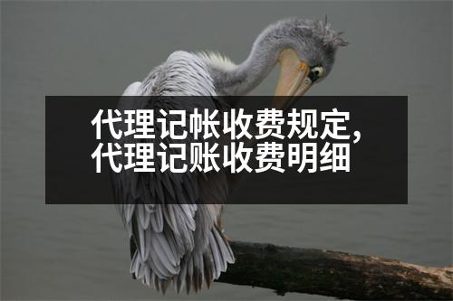 代理記帳收費(fèi)規(guī)定,代理記賬收費(fèi)明細(xì)