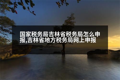 國(guó)家稅務(wù)局吉林省稅務(wù)局怎么申報(bào),吉林省地方稅務(wù)局網(wǎng)上申報(bào)