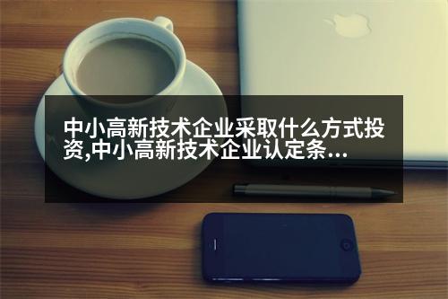 中小高新技術企業(yè)采取什么方式投資,中小高新技術企業(yè)認定條件