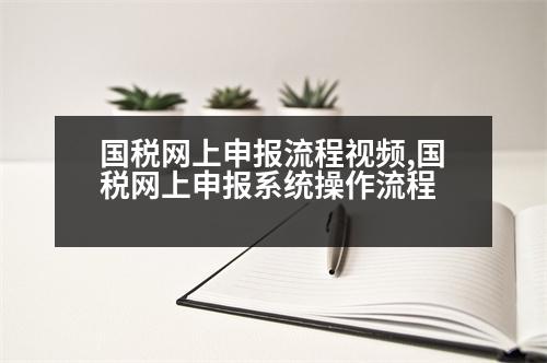 國稅網(wǎng)上申報流程視頻,國稅網(wǎng)上申報系統(tǒng)操作流程