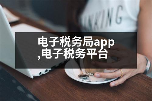 電子稅務(wù)局app,電子稅務(wù)平臺