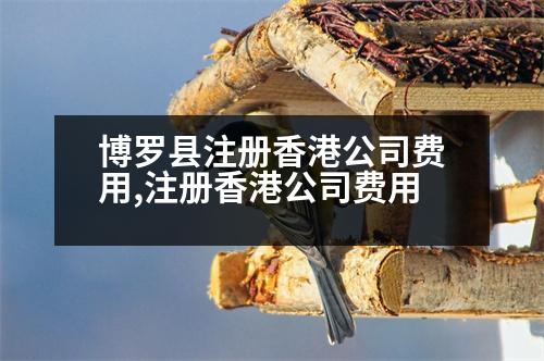 博羅縣注冊(cè)香港公司費(fèi)用,注冊(cè)香港公司費(fèi)用