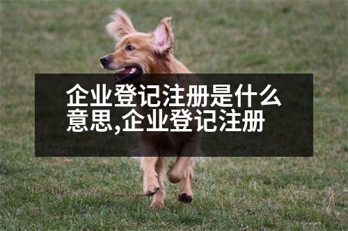 企業(yè)登記注冊(cè)是什么意思,企業(yè)登記注冊(cè)