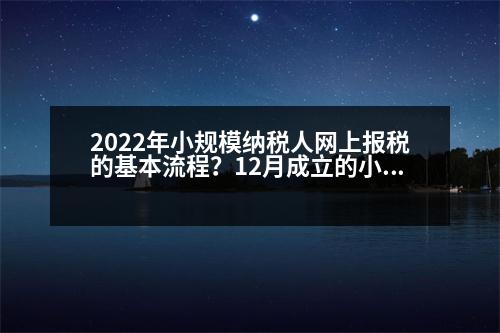 2022年小規(guī)模納稅人網(wǎng)上報(bào)稅的基本流程？12月成立的小規(guī)模納稅人如何報(bào)稅