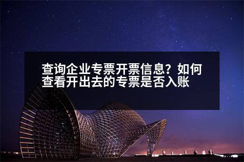 查詢企業(yè)專票開票信息？如何查看開出去的專票是否入賬