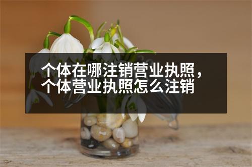 個(gè)體在哪注銷營(yíng)業(yè)執(zhí)照，個(gè)體營(yíng)業(yè)執(zhí)照怎么注銷