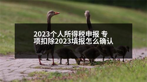 2023個(gè)人所得稅申報(bào) 專項(xiàng)扣除2023填報(bào)怎么確認(rèn)