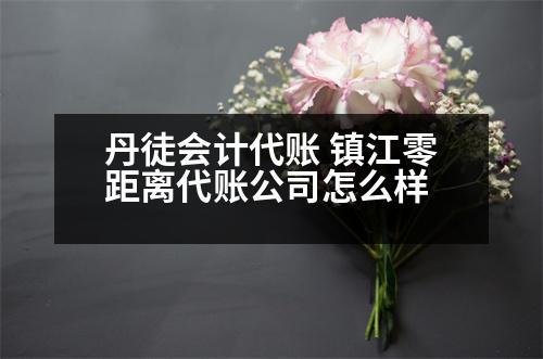 丹徒會(huì)計(jì)代賬 鎮(zhèn)江零距離代賬公司怎么樣