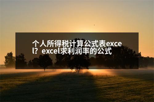 個人所得稅計算公式表excel？excel求利潤率的公式