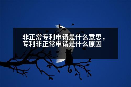 非正常專(zhuān)利申請(qǐng)是什么意思，專(zhuān)利非正常申請(qǐng)是什么原因