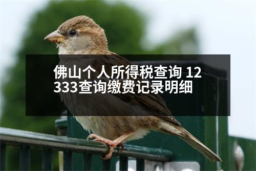 佛山個人所得稅查詢 12333查詢繳費記錄明細(xì)