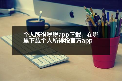 個人所得稅稅app下載，在哪里下載個人所得稅官方app