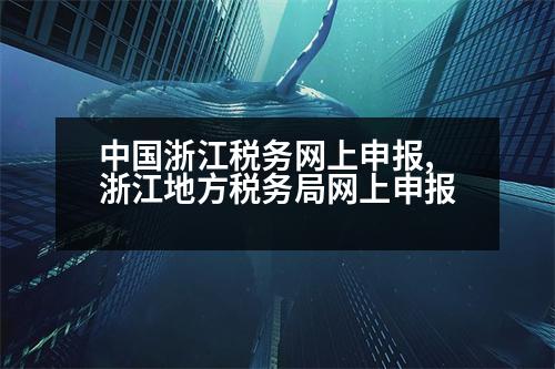 中國浙江稅務(wù)網(wǎng)上申報,浙江地方稅務(wù)局網(wǎng)上申報