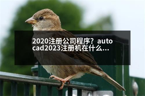 2020注冊公司程序？autocad2023注冊機在什么位置