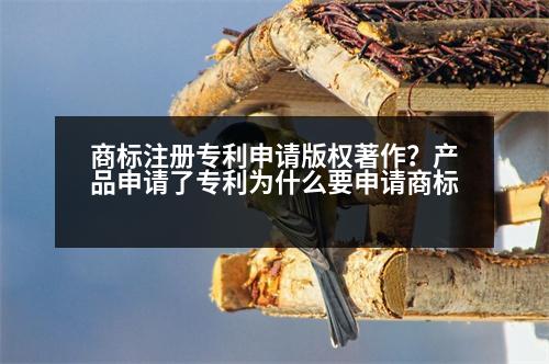 商標(biāo)注冊專利申請版權(quán)著作？產(chǎn)品申請了專利為什么要申請商標(biāo)