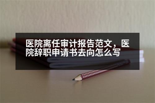 醫(yī)院離任審計報告范文，醫(yī)院辭職申請書去向怎么寫